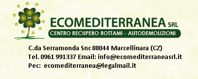 ecomediterranea-logo-paint ecomediterranea-logo-paint